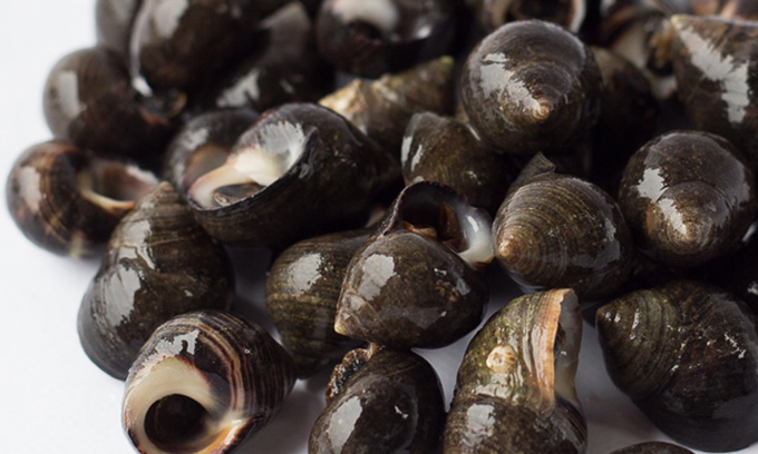 mariscos donosti