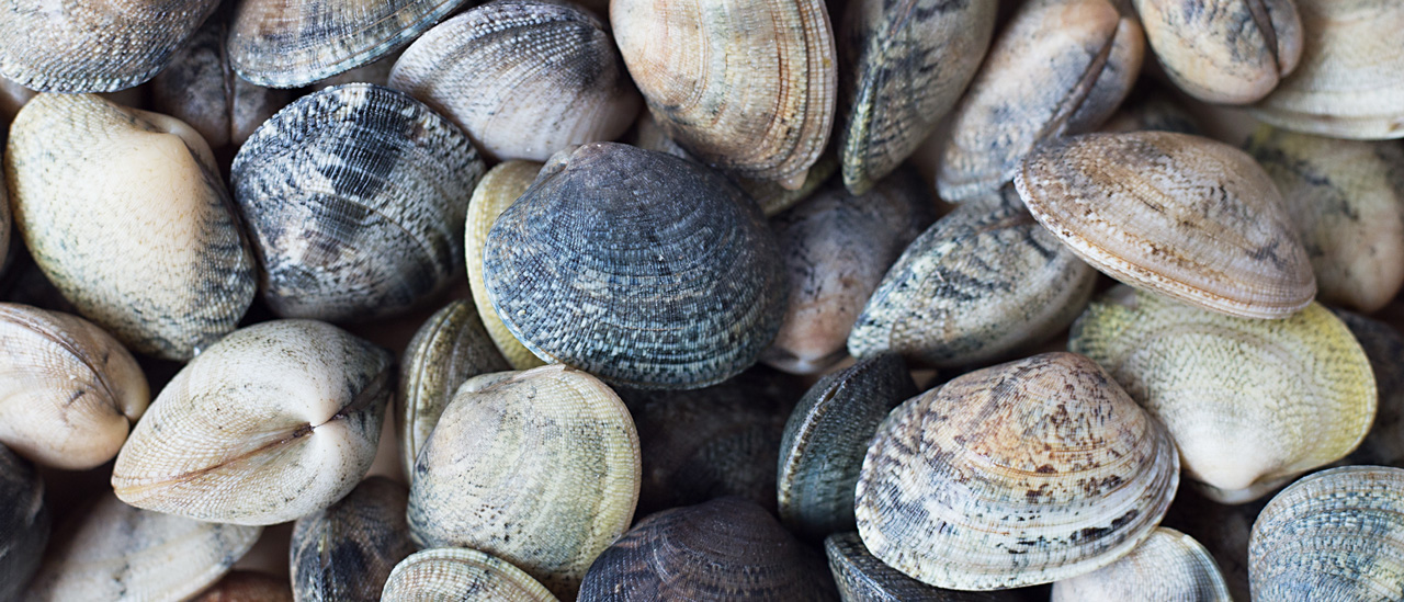mariscos en oiartzun, gipuzkoa