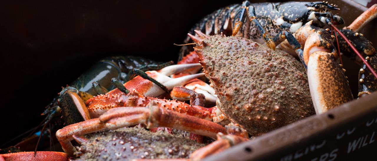 mariscos donosti: mariscos en gipuzkoa